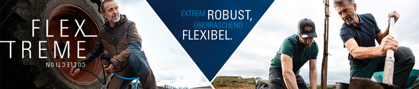Flextreme Banner